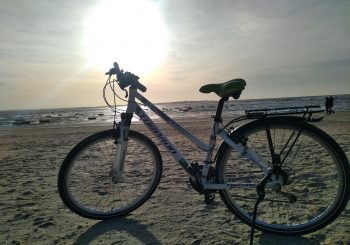 Ouverture 1er, 2, 8, 9 mai > suggestion train + vélo.